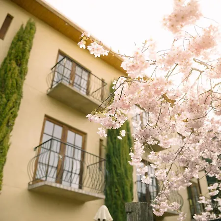 Browns Boutique Hotel-2